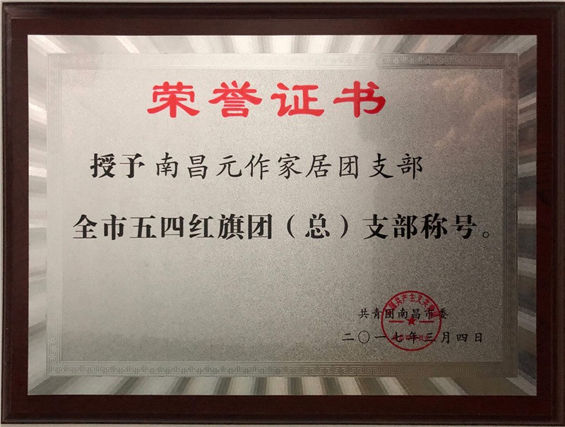 全市五四红旗团（总）支部
